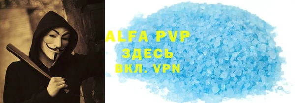 индика Майский