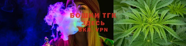 тгк Магас
