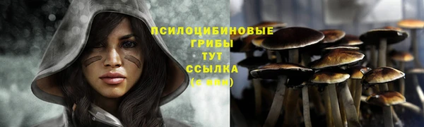 мяу мяу мука Магадан
