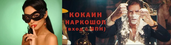 индика Майский