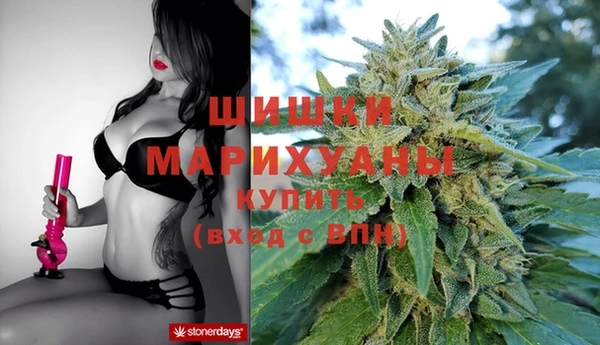 индика Майский