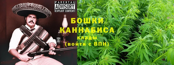 индика Майский