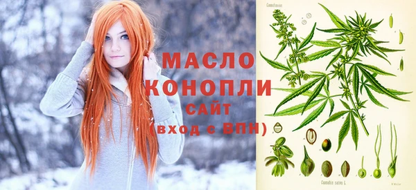 тгк Магас