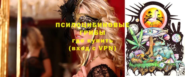 индика Майский