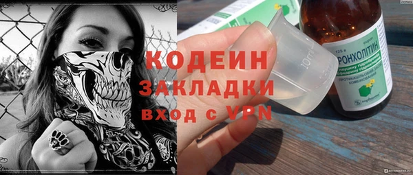 индика Майский