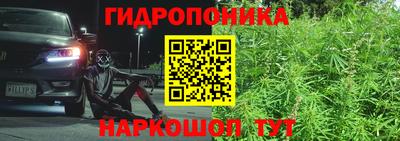 трава Аргун