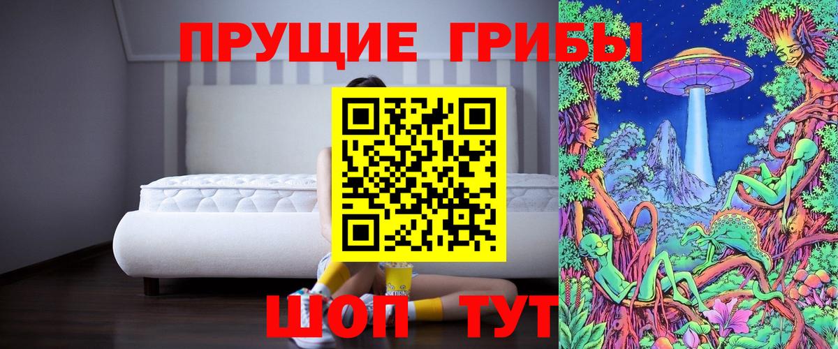 Псилоцибиновые грибы Psilocybine cubensis Усинск